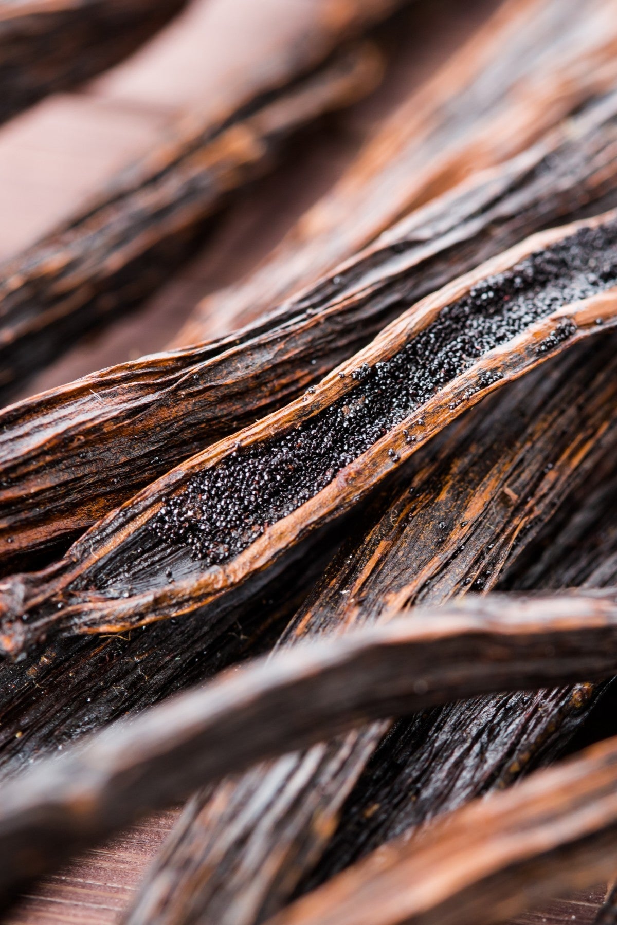 Madagascar Vanilla Soothing Body Oil